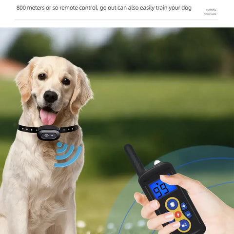 Collier de dressage pour chien à télécommande