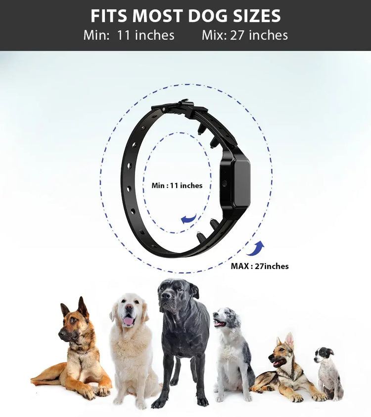 Collier de dressage pour chien - remote control set