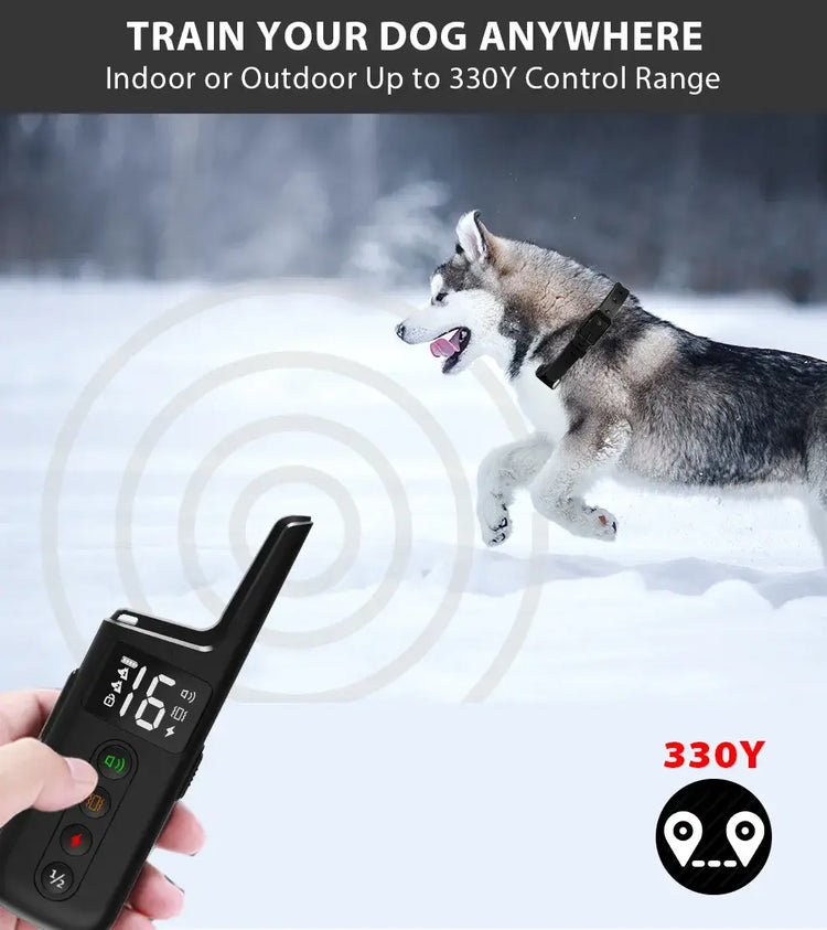 Collier de dressage pour chien - remote control set