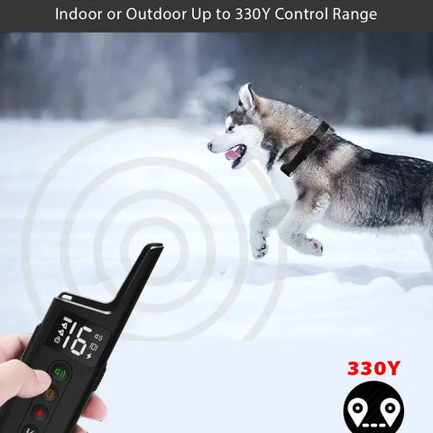 Collier de dressage pour chien - remote control set