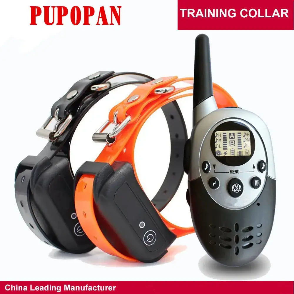Collier de dressage pour chien