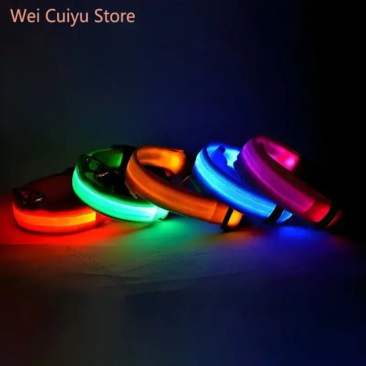 Collier de sécurité nocturne pour chien avec LED
