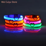 Collier de sécurité nocturne pour chien avec LED