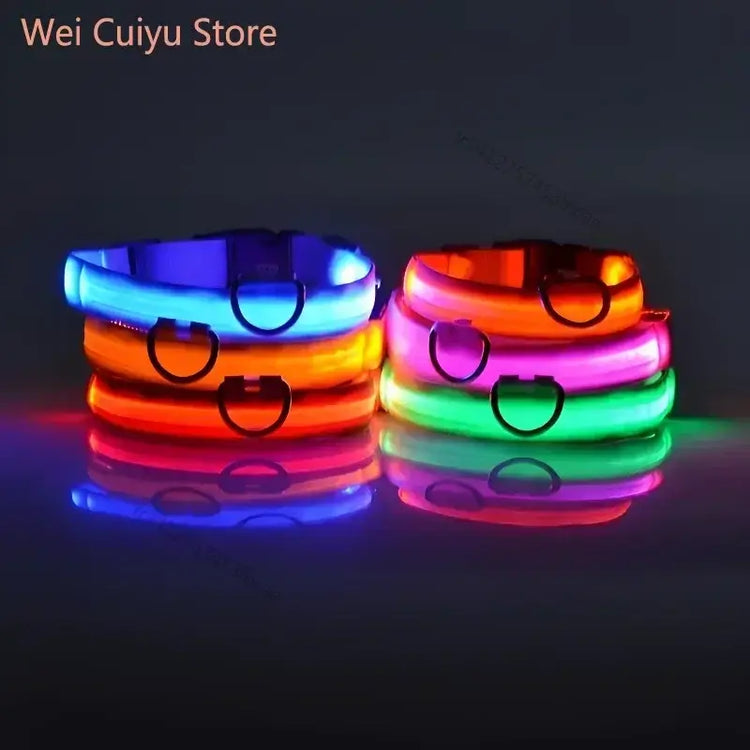 Collier de sécurité nocturne pour chien avec LED