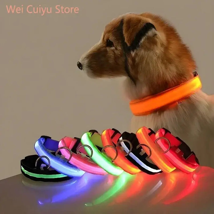 Collier de sécurité nocturne pour chien avec LED