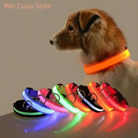 Collier de sécurité nocturne pour chien avec LED