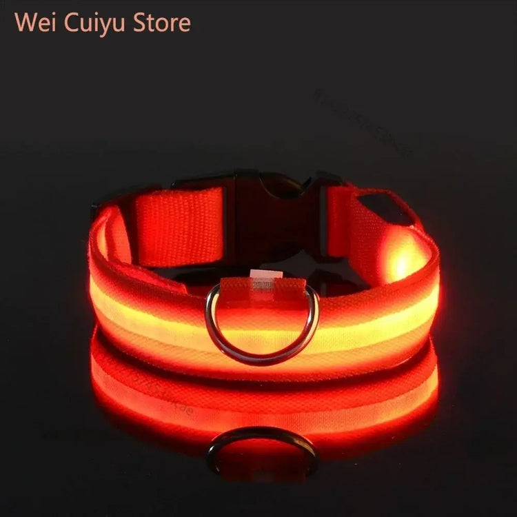 Collier de sécurité nocturne pour chien avec LED