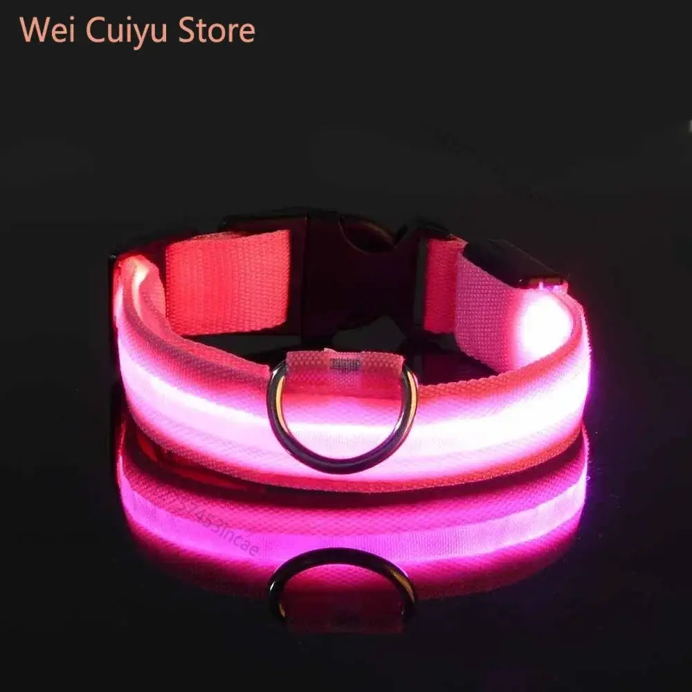 Collier de sécurité nocturne pour chien avec LED