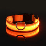 Collier de sécurité nocturne pour chien avec LED - spain / L neck 41-52cm / Orange