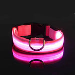 Collier de sécurité nocturne pour chien avec LED - spain / XL neck 42-56cm / Pink
