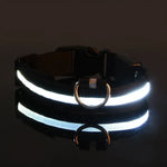 Collier de sécurité nocturne pour chien avec LED - spain / XL neck 42-56cm / black