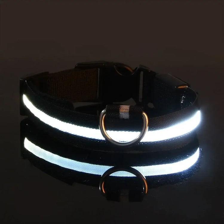 Collier de sécurité nocturne pour chien avec LED - spain / XL neck 42-56cm / black