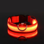Collier de sécurité nocturne pour chien avec LED - spain / XL neck 42-56cm / Red