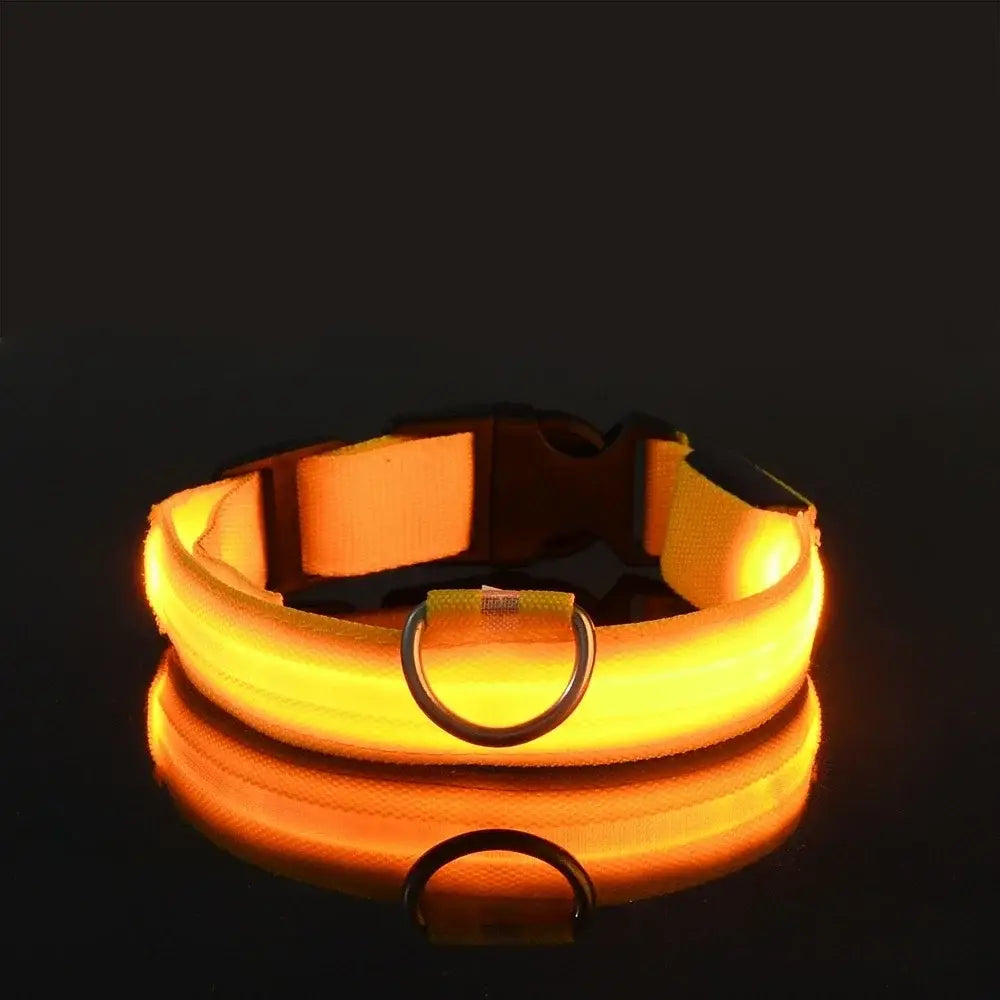 Collier de sécurité nocturne pour chien avec LED - spain / XL neck 42-56cm / Yellow