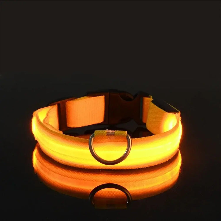 Collier de sécurité nocturne pour chien avec LED - spain / XL neck 42-56cm / Yellow
