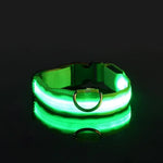Collier de sécurité nocturne pour chien avec LED - spain / XL neck 42-56cm / green