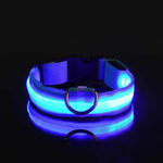 Collier de sécurité nocturne pour chien avec LED - spain / XL neck 42-56cm / Blue