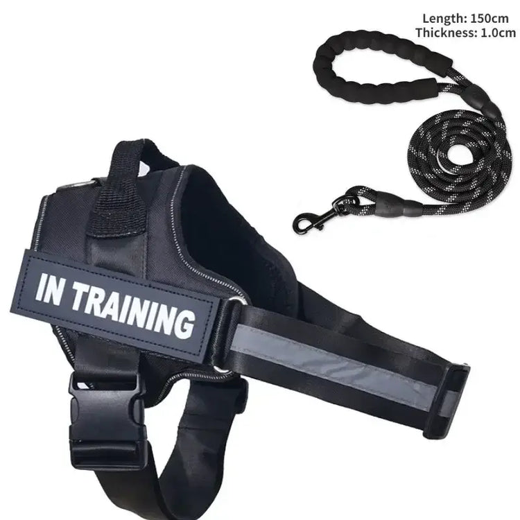 Collier et harnais pour chien - black / XXL
