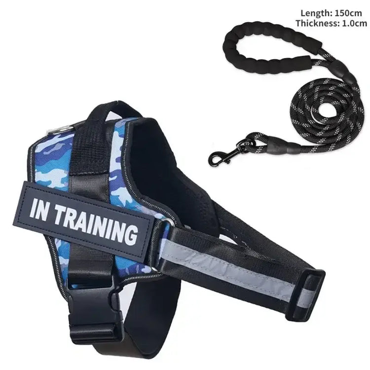 Collier et harnais pour chien - Blue camouflage / L