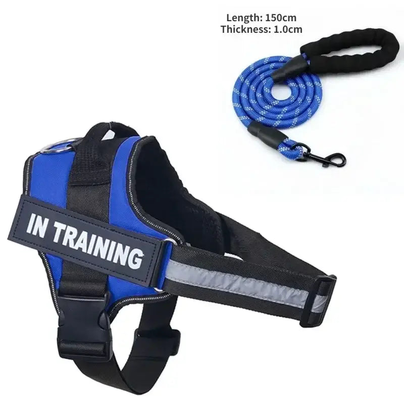 Collier et harnais pour chien - Blue / S