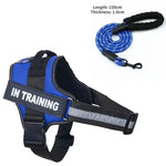 Collier et harnais pour chien - Blue / S