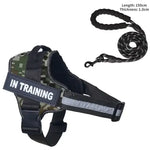 Collier et harnais pour chien - Green camouflage / L