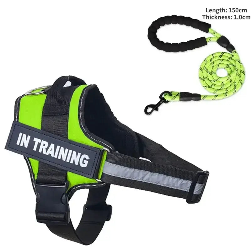 Collier et harnais pour chien - green / L