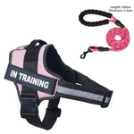 Collier et harnais pour chien - Pink / XXL