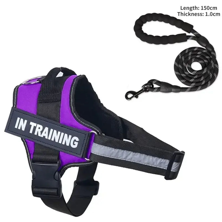 Collier et harnais pour chien - PURPLE / S