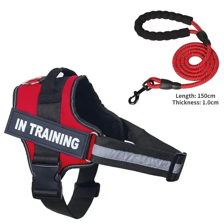 Collier et harnais pour chien - Red / XXL