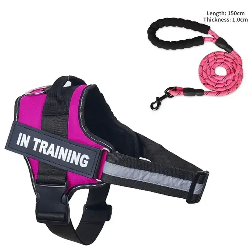 Collier et harnais pour chien - Rose Red / XXL