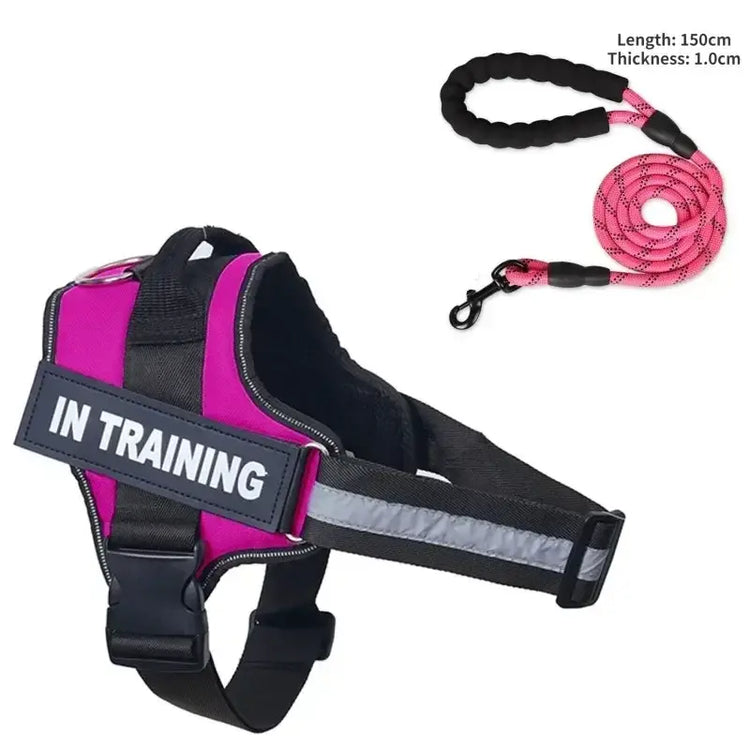 Collier et harnais pour chien - Rose Red / XXL