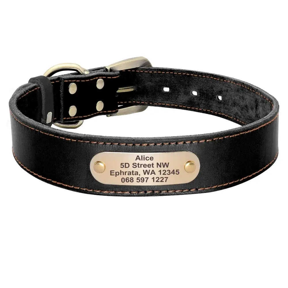 Collier et laisse en cuir sur mesure pour chien - Black Collar / XS（old）