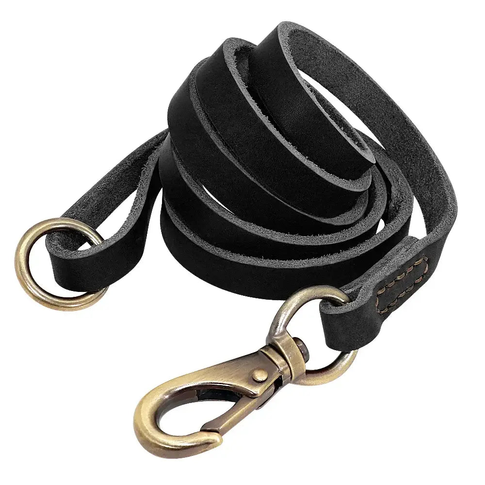 Collier et laisse en cuir sur mesure pour chien - Black Leash / XS（old）