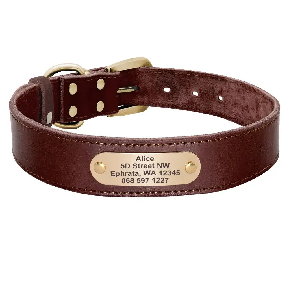 Collier et laisse en cuir sur mesure pour chien - Brown Collar / XXS