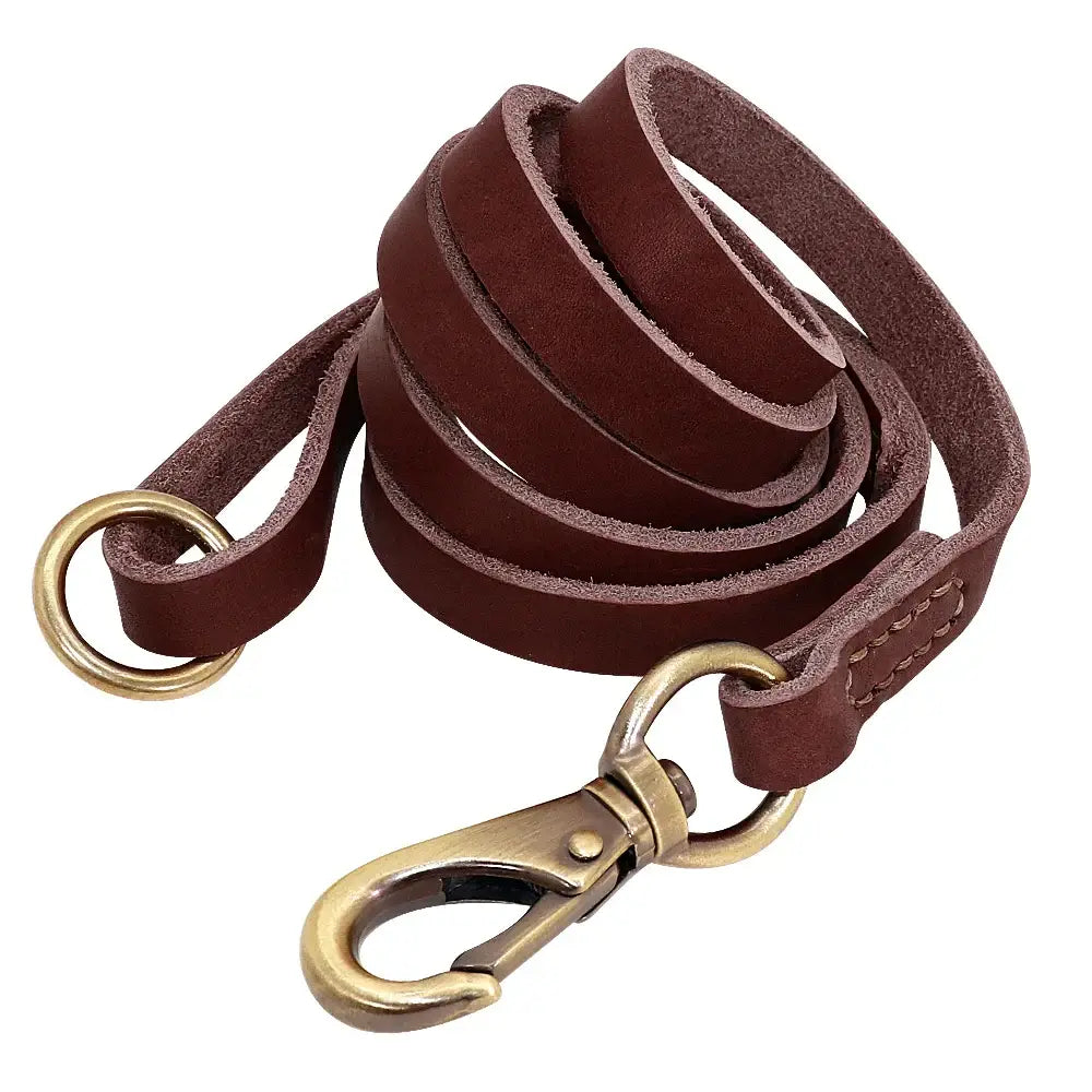 Collier et laisse en cuir sur mesure pour chien - Brown Leash / XXS