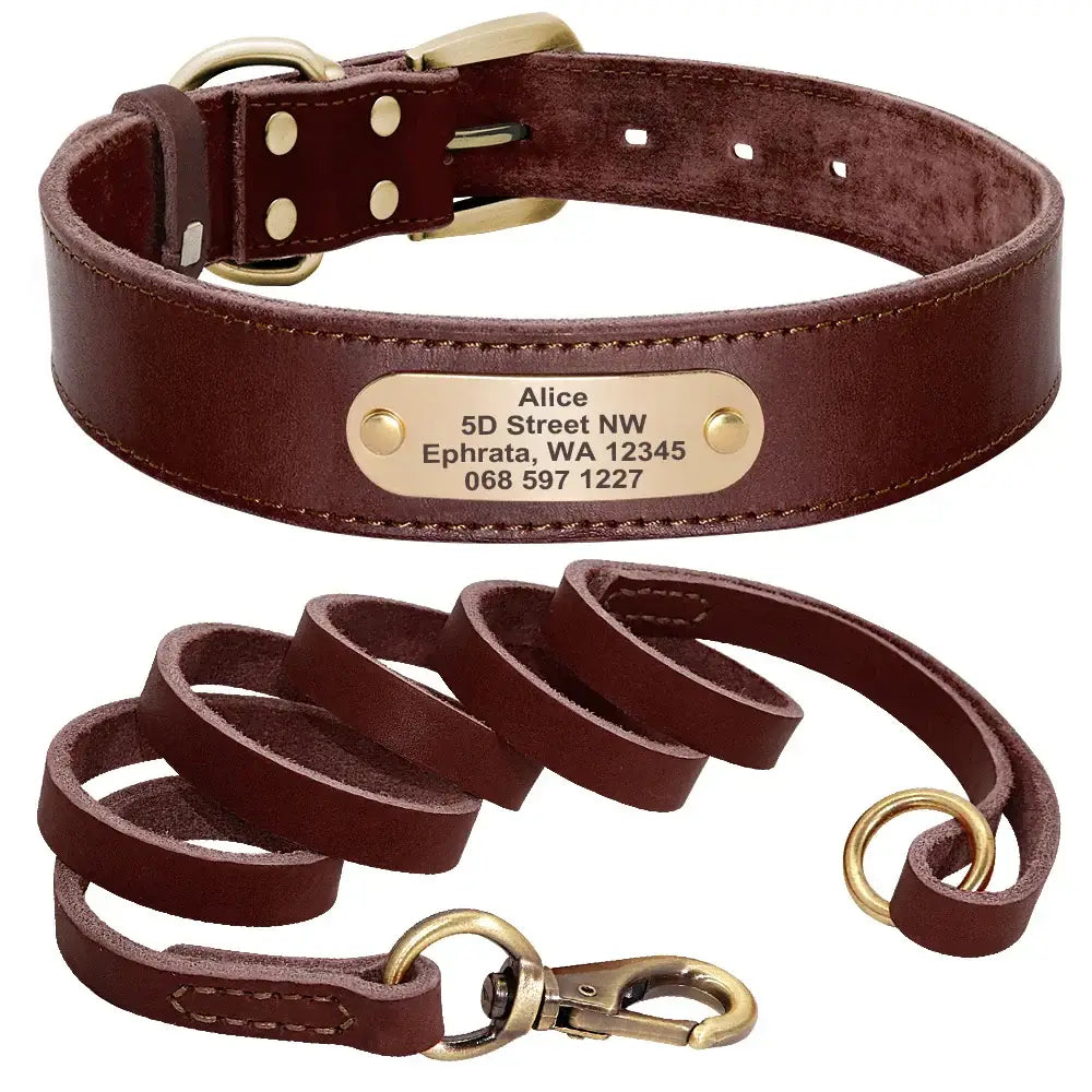 Collier et laisse en cuir sur mesure pour chien - Brown Set / XXS