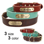 Collier et laisse en cuir sur mesure pour chien
