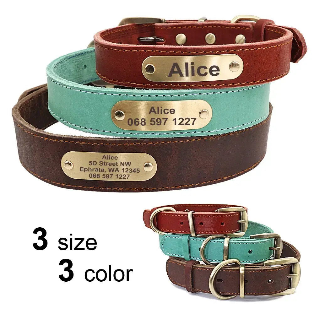 Collier et laisse en cuir sur mesure pour chien