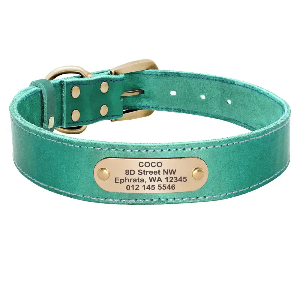 Collier et laisse en cuir sur mesure pour chien - Green Collar / XXS