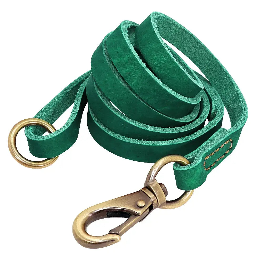 Collier et laisse en cuir sur mesure pour chien - Green Leash / XL