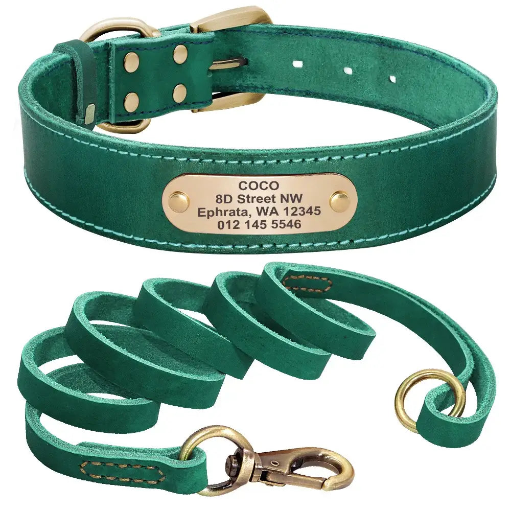 Collier et laisse en cuir sur mesure pour chien - Green Set / XXS