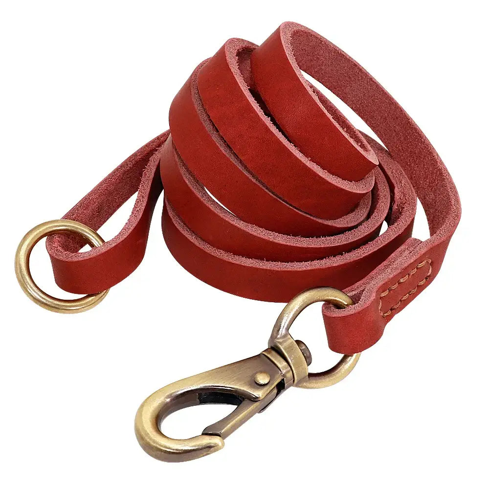 Collier et laisse en cuir sur mesure pour chien - Red Leash / XXS