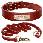 Collier et laisse en cuir sur mesure pour chien - Red Set / M