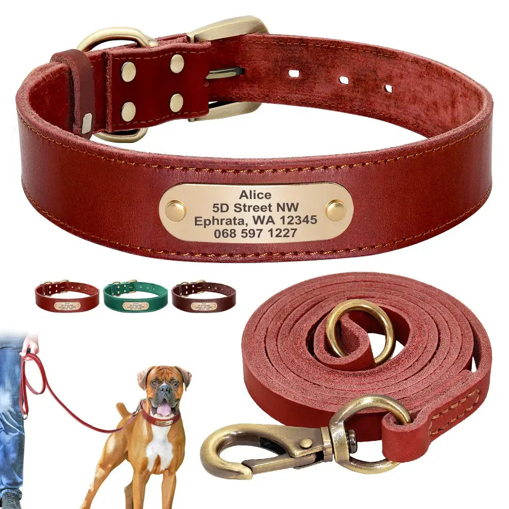 Collier et laisse en cuir sur mesure pour chien