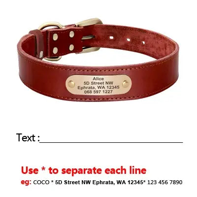 Collier et laisse en cuir sur mesure pour chien