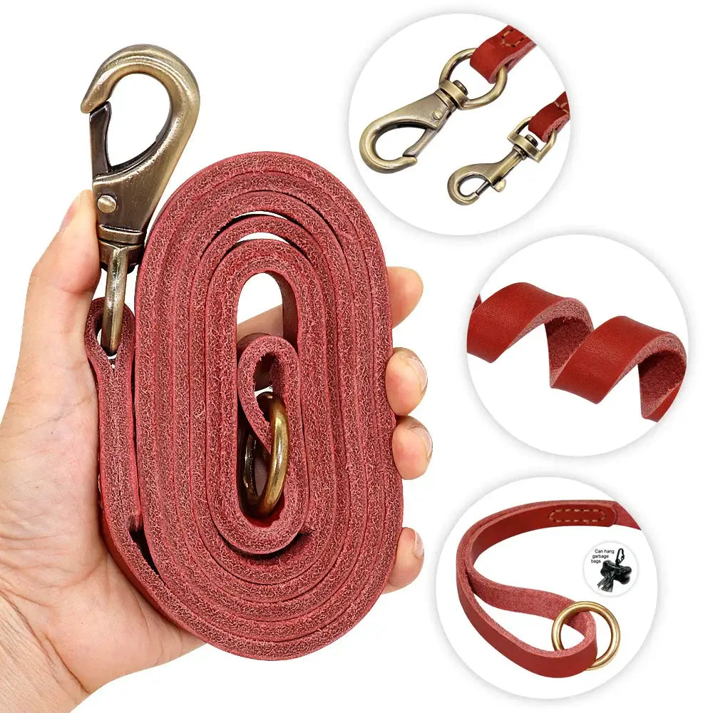 Collier et laisse en cuir sur mesure pour chien