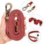 Collier et laisse en cuir sur mesure pour chien