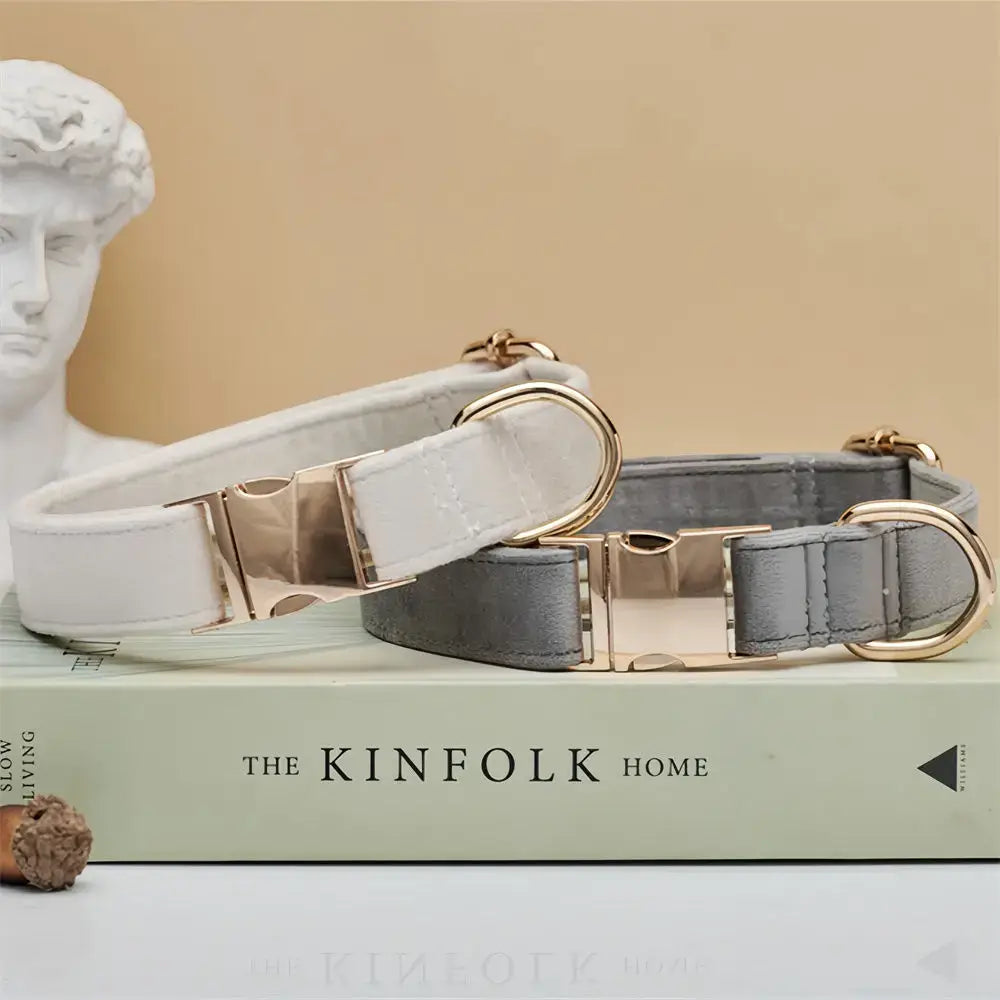 Collier et laisse en velours pour chien