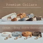 Collier et laisse en velours pour chien